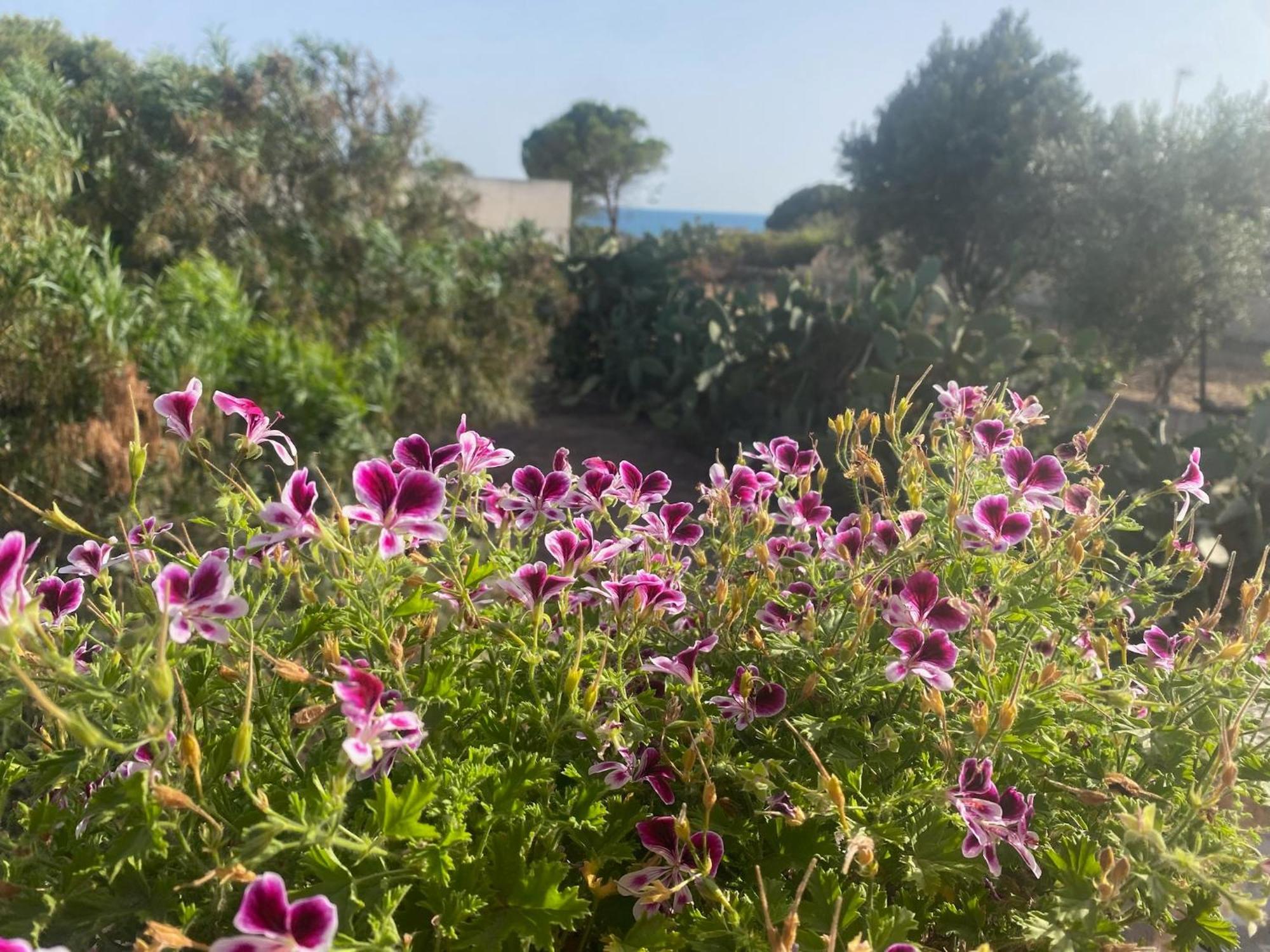 Ificumori, Campagna Ammare Villa Marina di Modica Buitenkant foto