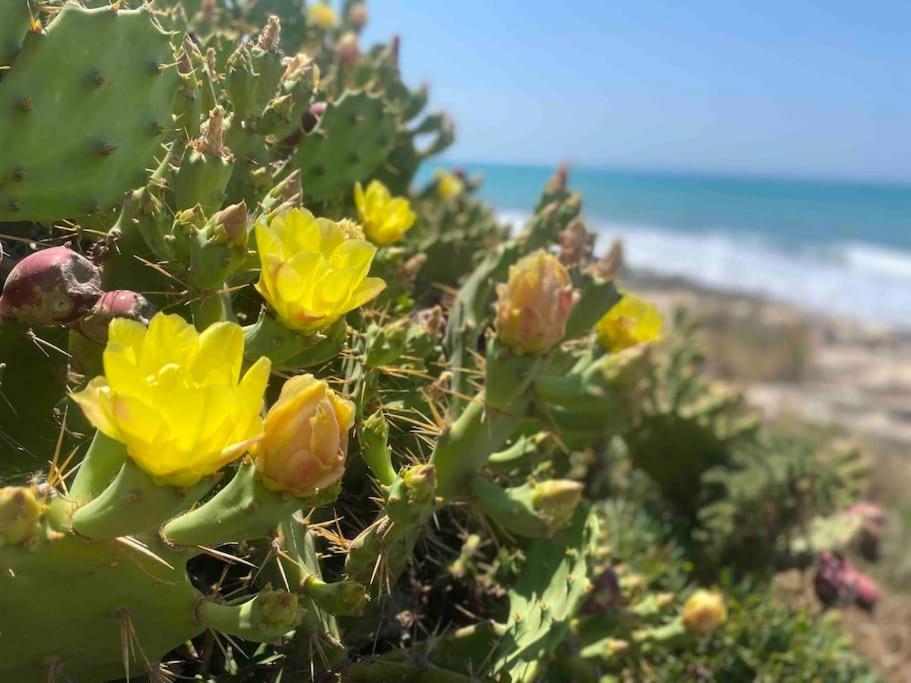 Ificumori, Campagna Ammare Villa Marina di Modica Buitenkant foto
