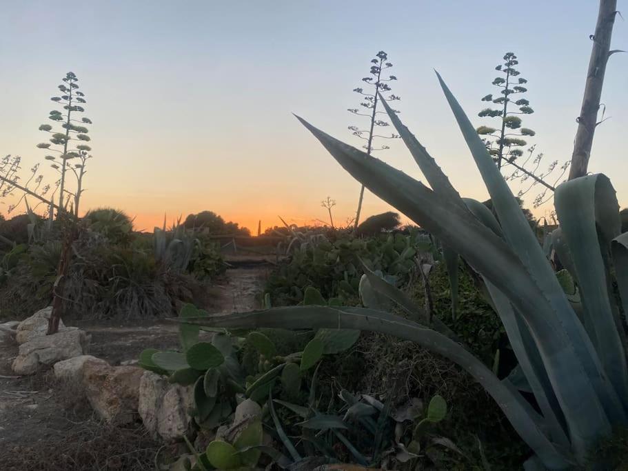 Ificumori, Campagna Ammare Villa Marina di Modica Buitenkant foto