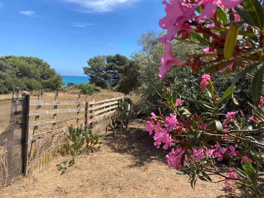 Ificumori, Campagna Ammare Villa Marina di Modica Buitenkant foto
