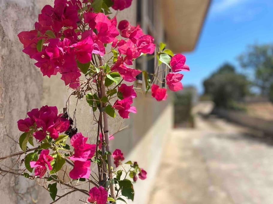 Ificumori, Campagna Ammare Villa Marina di Modica Buitenkant foto
