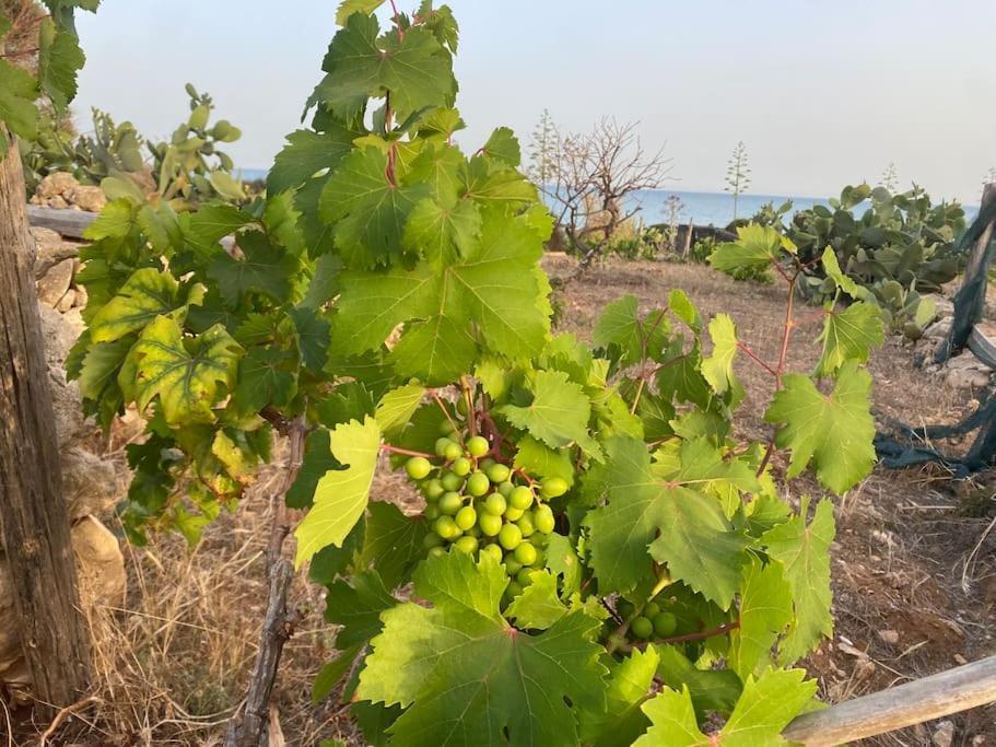 Ificumori, Campagna Ammare Villa Marina di Modica Buitenkant foto